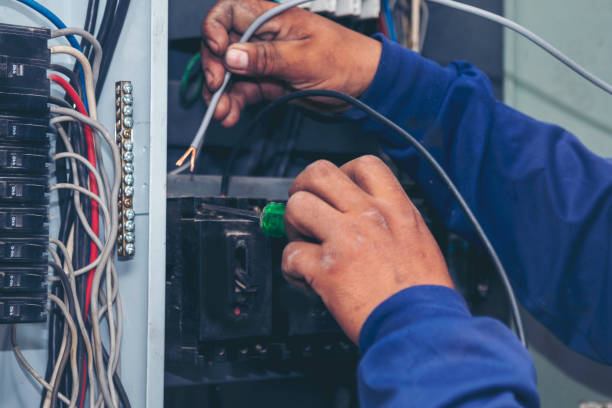 Best Home Electrical Repair  in Sheboygan Falls, WI