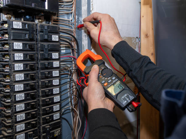 Best Electric Panel Repair  in Sheboygan Falls, WI