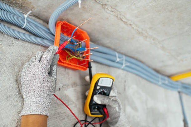 Best Electrician Near Me  in Sheboygan Falls, WI